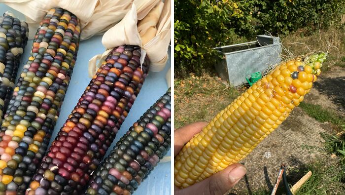 65 Side-By-Side Pics Making Showing How Disappointing Reality Is 65 Side-By-Side Pics Making Showing How Disappointing Reality Is