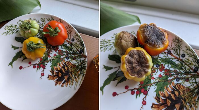 65 Side-By-Side Pics Making Showing How Disappointing Reality Is 65 Side-By-Side Pics Making Showing How Disappointing Reality Is