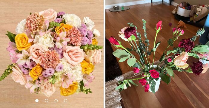 65 Side-By-Side Pics Making Showing How Disappointing Reality Is 65 Side-By-Side Pics Making Showing How Disappointing Reality Is