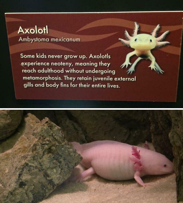 65 Side-By-Side Pics Making Showing How Disappointing Reality Is 65 Side-By-Side Pics Making Showing How Disappointing Reality Is