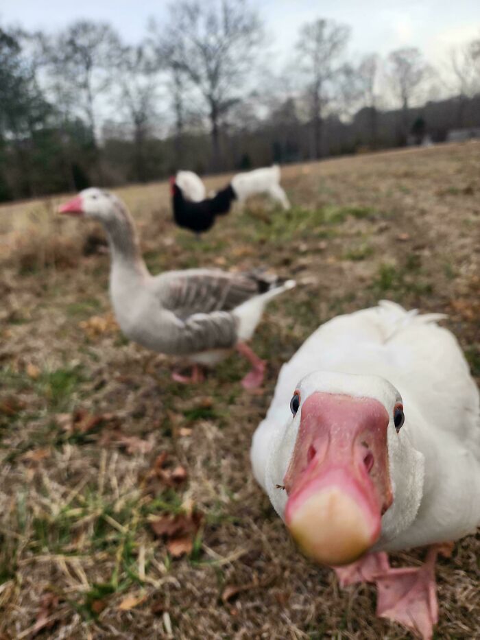 37 Times People Had The Satisfying Opportunity To Make A Jerk’s Day Worse 37 Times People Had The Satisfying Opportunity To Make A Jerk’s Day Worse