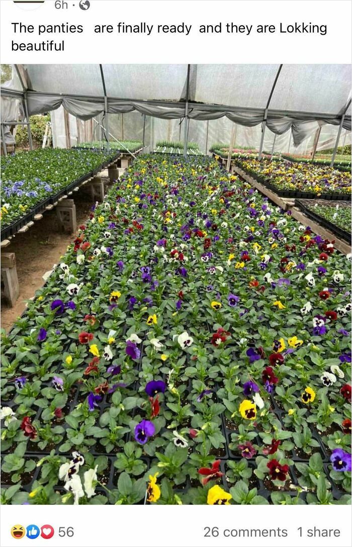 59 Times People Struggled With Words So Badly, They Cracked Others Up (New Pics) 59 Times People Struggled With Words So Badly, They Cracked Others Up (New Pics)