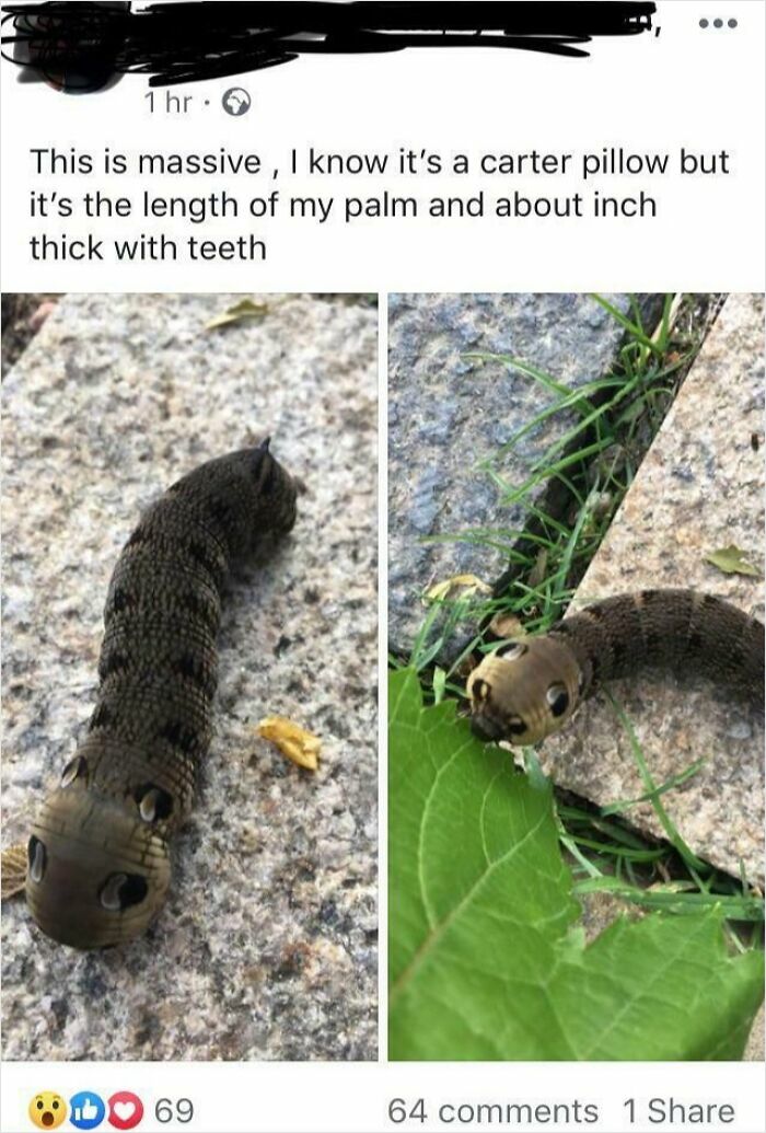 59 Times People Struggled With Words So Badly, They Cracked Others Up (New Pics) 59 Times People Struggled With Words So Badly, They Cracked Others Up (New Pics)