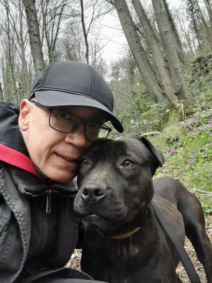 From Surviving To Living: 59 Before And After Pics Of Rescue Dogs Who Found Their Forever Homes (March Edition) From Surviving To Living: 59 Before And After Pics Of Rescue Dogs Who Found Their Forever Homes (March Edition)