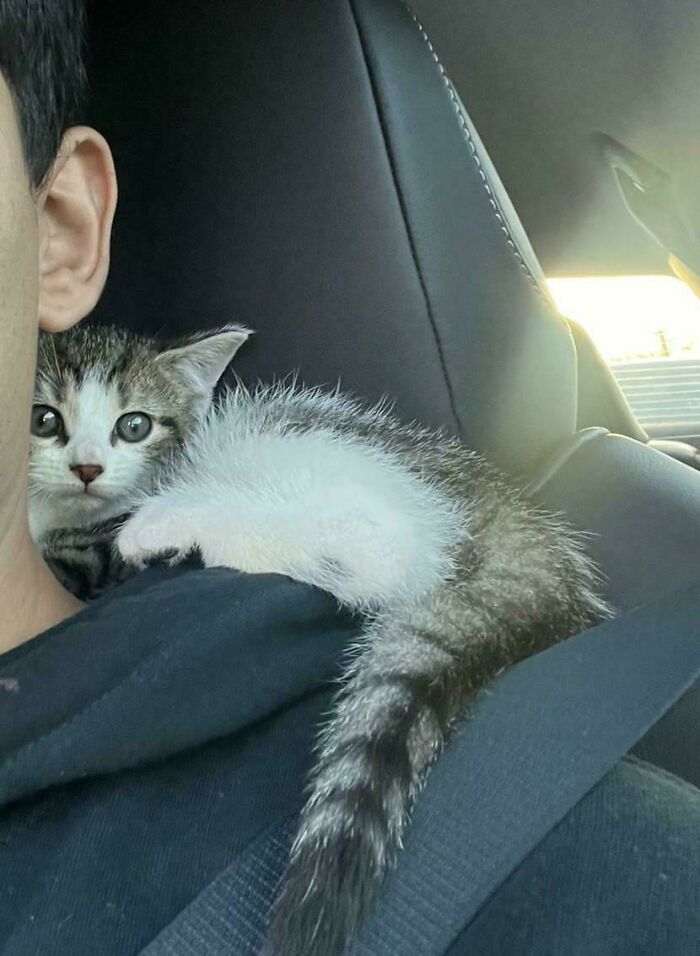 From Surviving To Living: 59 Before And After Pics Of Rescue Dogs Who Found Their Forever Homes (March Edition) From Surviving To Living: 59 Before And After Pics Of Rescue Dogs Who Found Their Forever Homes (March Edition)