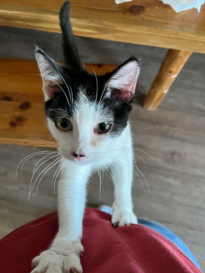 From Surviving To Living: 59 Before And After Pics Of Rescue Dogs Who Found Their Forever Homes (March Edition) From Surviving To Living: 59 Before And After Pics Of Rescue Dogs Who Found Their Forever Homes (March Edition)