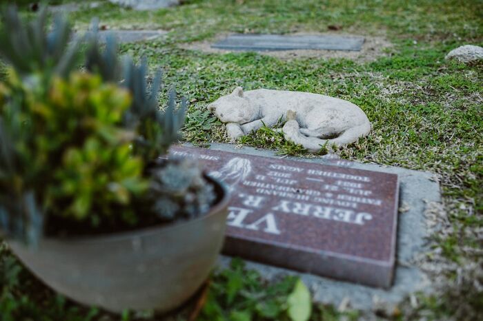 81 Dark And Horrifying Things People Have Witnessed That Got Burned Into Their Brain