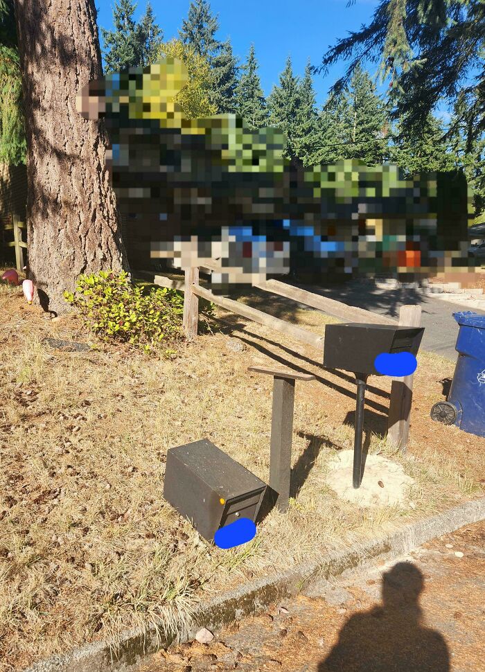 53 Neighbors That Would Make You Move To The Middle Of Nowhere With Nobody Around (New Pics)