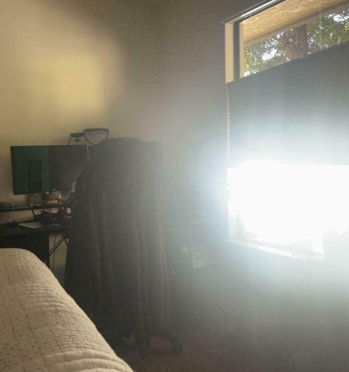 53 Neighbors That Would Make You Move To The Middle Of Nowhere With Nobody Around (New Pics)