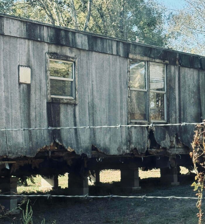 53 Neighbors That Would Make You Move To The Middle Of Nowhere With Nobody Around (New Pics)
