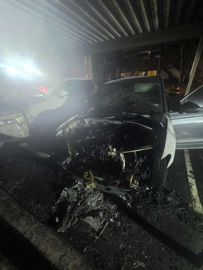 53 Neighbors That Would Make You Move To The Middle Of Nowhere With Nobody Around (New Pics)