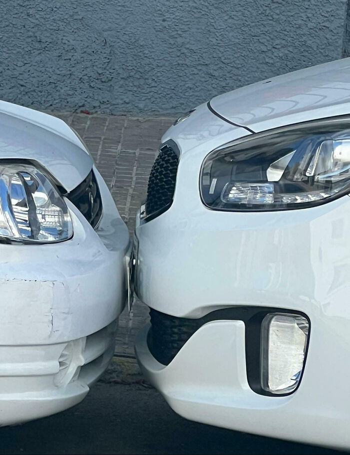 53 Neighbors That Would Make You Move To The Middle Of Nowhere With Nobody Around (New Pics)