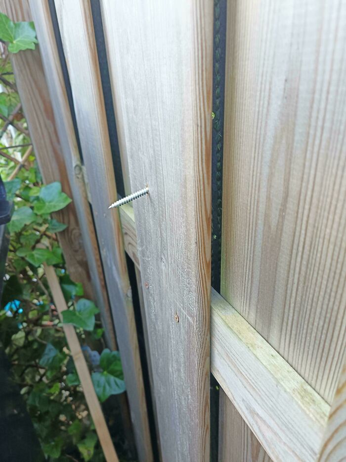 53 Neighbors That Would Make You Move To The Middle Of Nowhere With Nobody Around (New Pics)