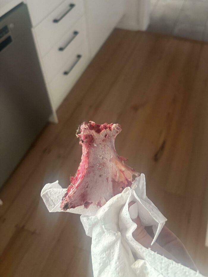 53 Neighbors That Would Make You Move To The Middle Of Nowhere With Nobody Around (New Pics)