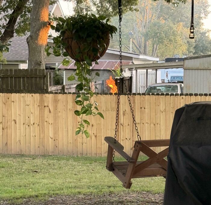 53 Neighbors That Would Make You Move To The Middle Of Nowhere With Nobody Around (New Pics)