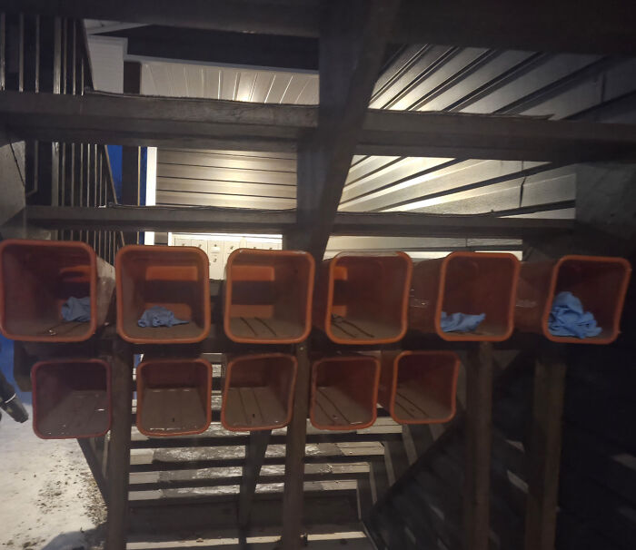 53 Neighbors That Would Make You Move To The Middle Of Nowhere With Nobody Around (New Pics)