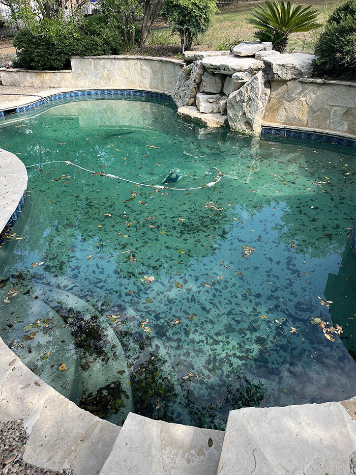 &ldquo;She Wanted A Pool&rdquo;: Husband Refuses To Maintain The Pool After Wife Breaks Her Promise, Drama Ensues