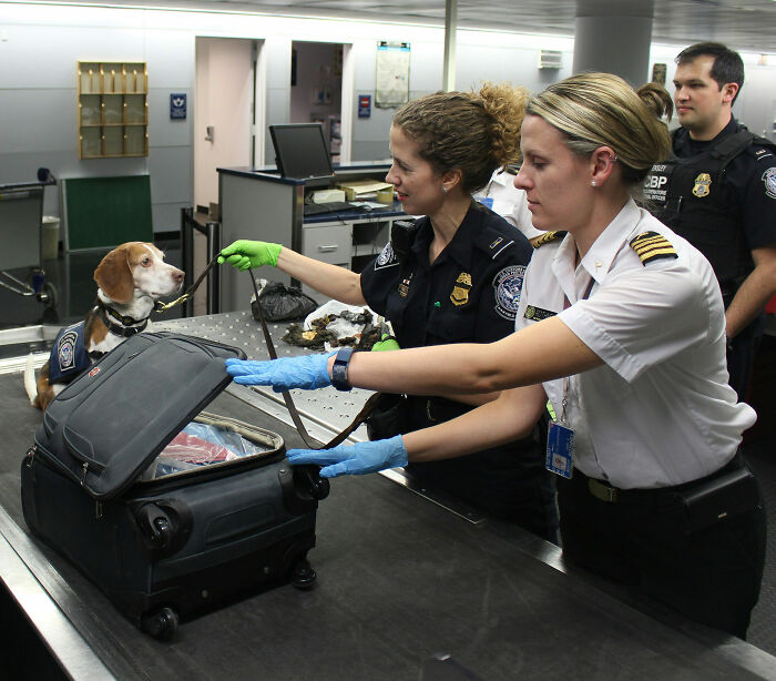 23-Year-Old Influencer Facing Prison After Cops Make Disturbing Find In Her Suitcase 23-Year-Old Influencer Facing Prison After Cops Make Disturbing Find In Her Suitcase