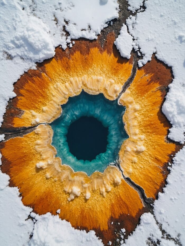 This Photographer Created 40 Unreal Landscapes And Wildlife Scenes Using AI