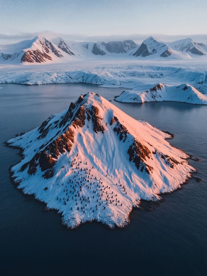 This Photographer Created 40 Unreal Landscapes And Wildlife Scenes Using AI