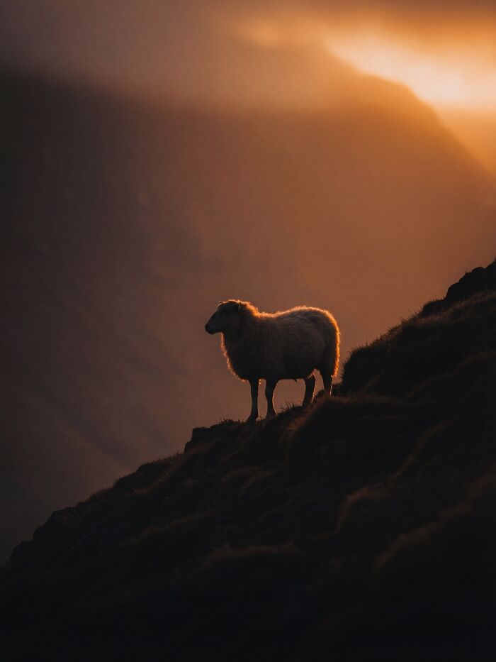 This Photographer Created 40 Unreal Landscapes And Wildlife Scenes Using AI