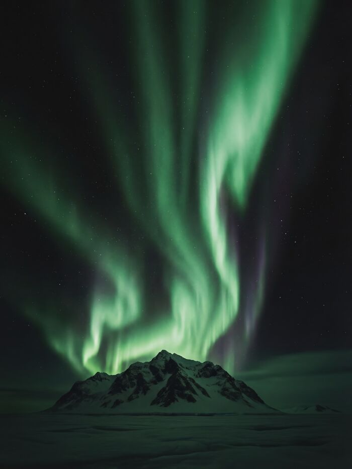 This Photographer Created 40 Unreal Landscapes And Wildlife Scenes Using AI