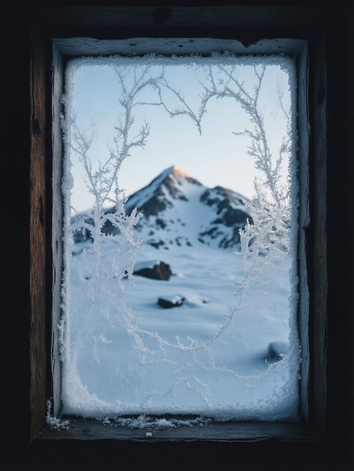 This Photographer Created 40 Unreal Landscapes And Wildlife Scenes Using AI