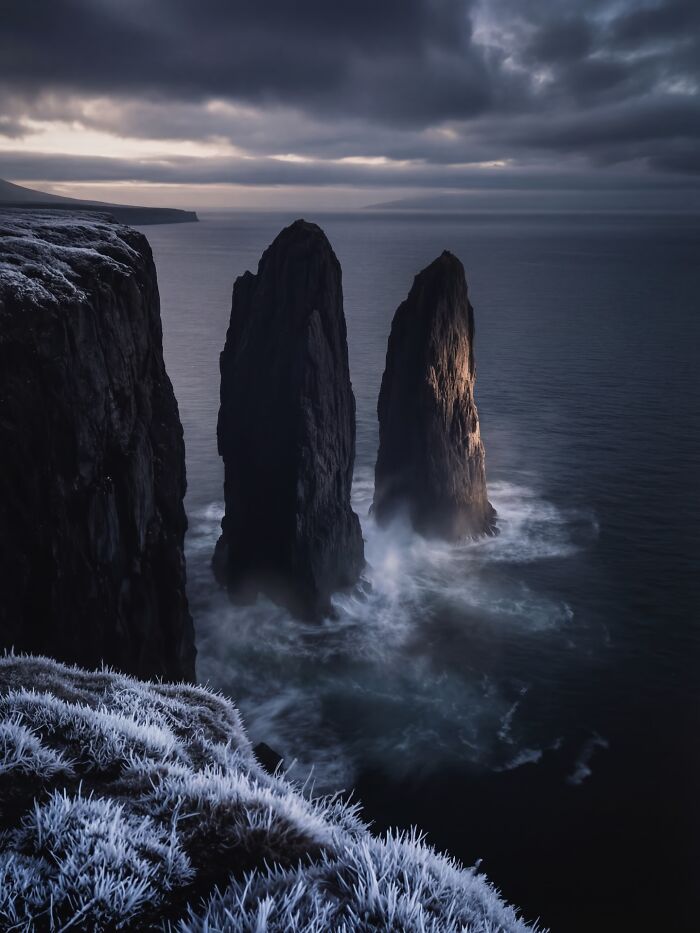 This Photographer Created 40 Unreal Landscapes And Wildlife Scenes Using AI