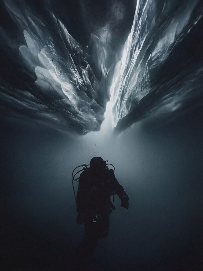 This Photographer Created 40 Unreal Landscapes And Wildlife Scenes Using AI