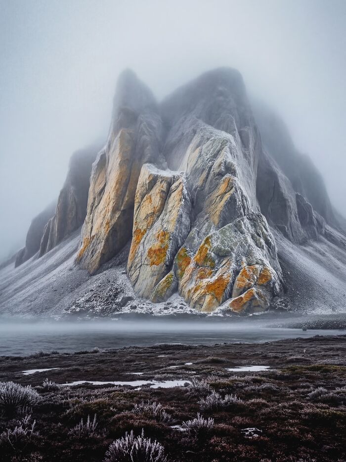 This Photographer Created 40 Unreal Landscapes And Wildlife Scenes Using AI