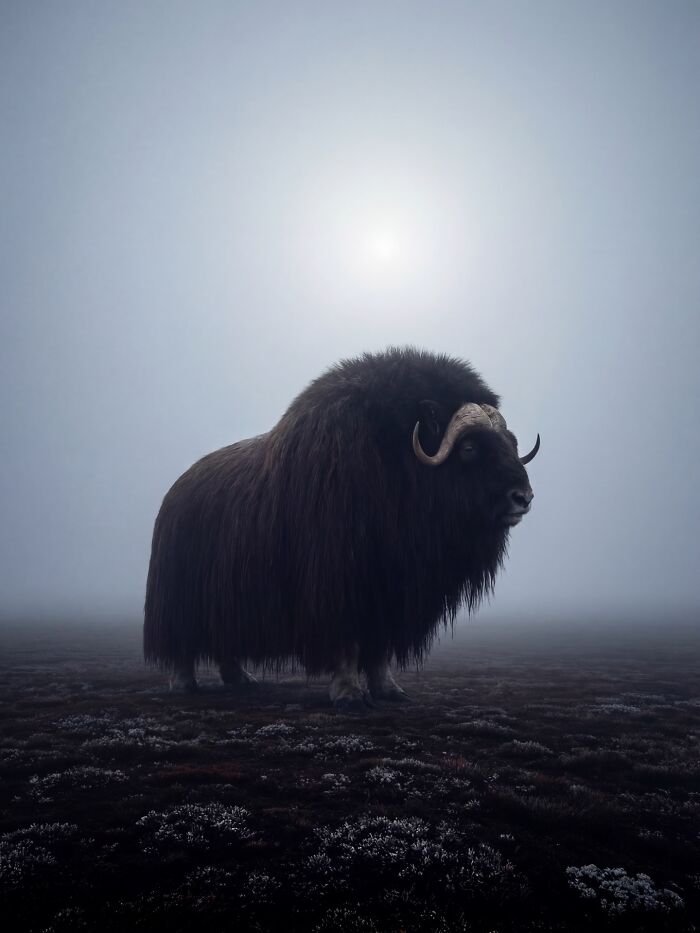 This Photographer Created 40 Unreal Landscapes And Wildlife Scenes Using AI