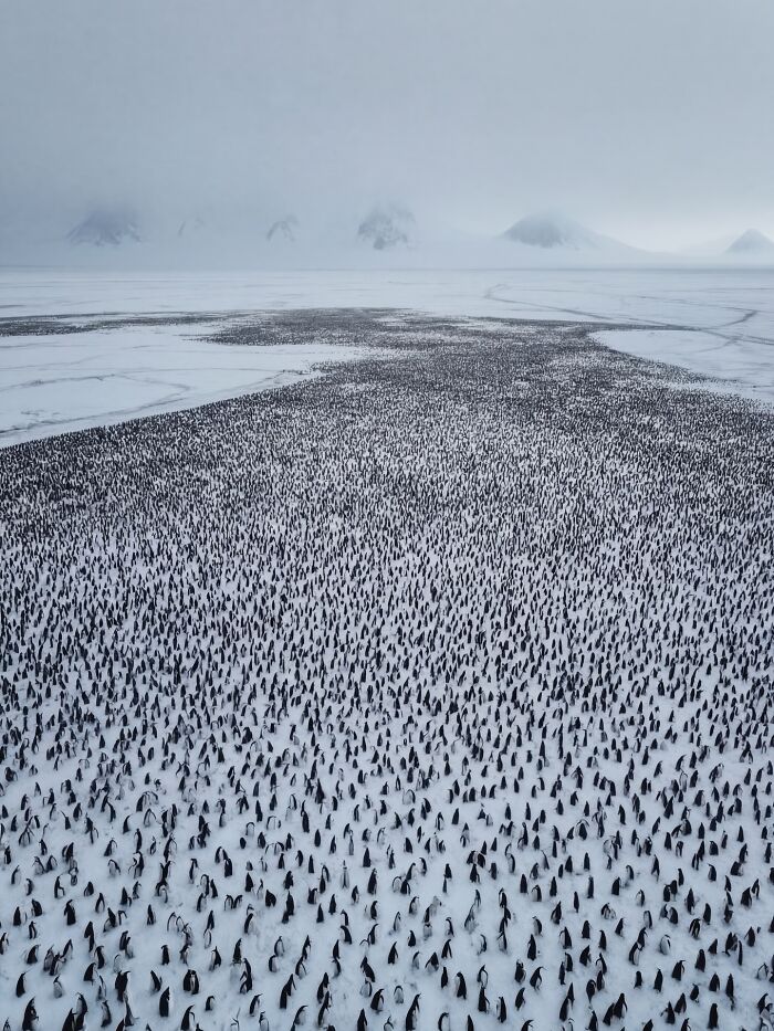 This Photographer Created 40 Unreal Landscapes And Wildlife Scenes Using AI