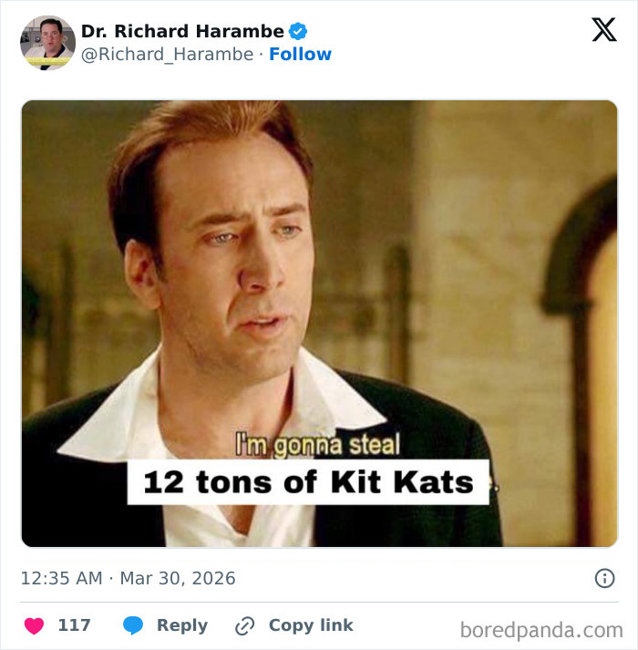 12 Tons Of KitKat Were Stolen, Here Are The Most Hilarious Responses To It 12 Tons Of KitKat Were Stolen, Here Are The Most Hilarious Responses To It