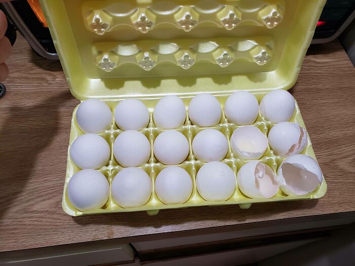 59 Horrible Guests You Wouldn’t Wish Upon Your Worst Enemy 59 Horrible Guests You Wouldn’t Wish Upon Your Worst Enemy