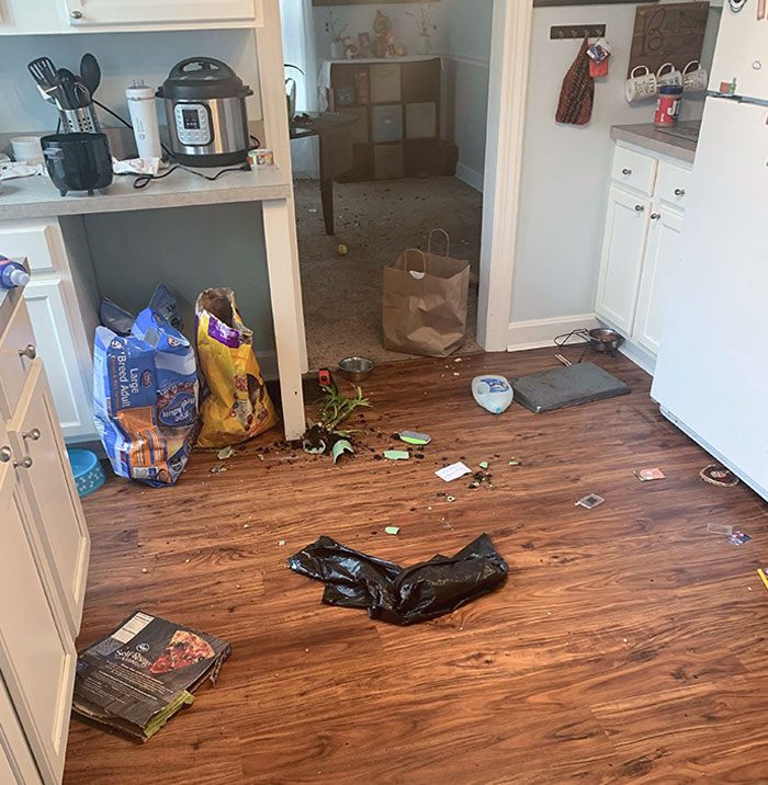 59 Horrible Guests You Wouldn’t Wish Upon Your Worst Enemy 59 Horrible Guests You Wouldn’t Wish Upon Your Worst Enemy