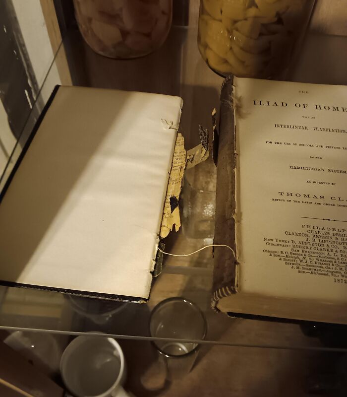 59 Horrible Guests You Wouldn’t Wish Upon Your Worst Enemy 59 Horrible Guests You Wouldn’t Wish Upon Your Worst Enemy