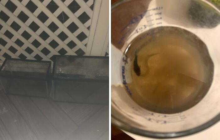 59 Horrible Guests You Wouldn’t Wish Upon Your Worst Enemy 59 Horrible Guests You Wouldn’t Wish Upon Your Worst Enemy