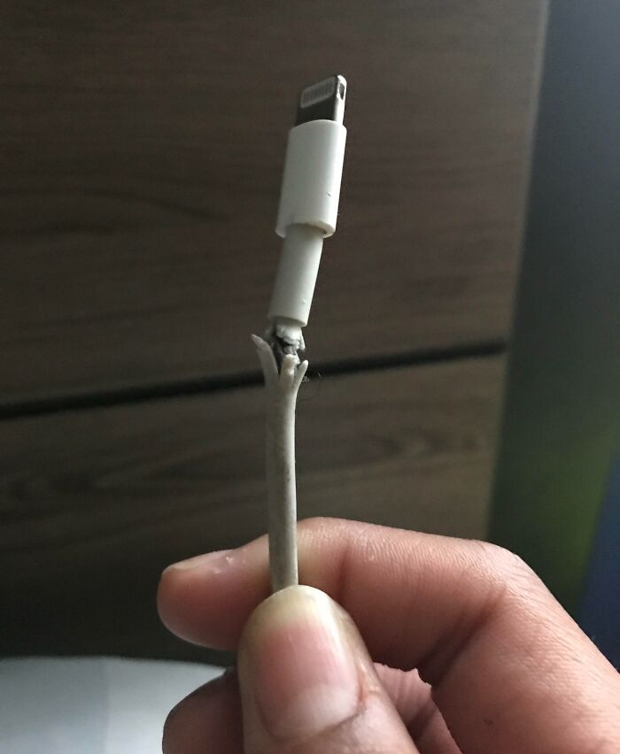 59 Horrible Guests You Wouldn’t Wish Upon Your Worst Enemy 59 Horrible Guests You Wouldn’t Wish Upon Your Worst Enemy