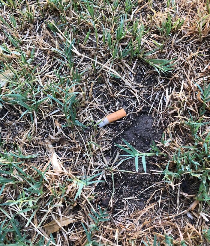 59 Horrible Guests You Wouldn’t Wish Upon Your Worst Enemy 59 Horrible Guests You Wouldn’t Wish Upon Your Worst Enemy