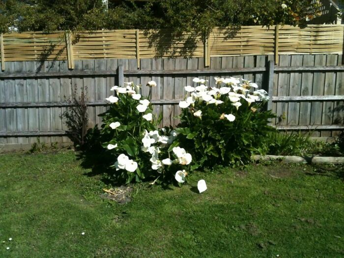 59 Horrible Guests You Wouldn’t Wish Upon Your Worst Enemy 59 Horrible Guests You Wouldn’t Wish Upon Your Worst Enemy