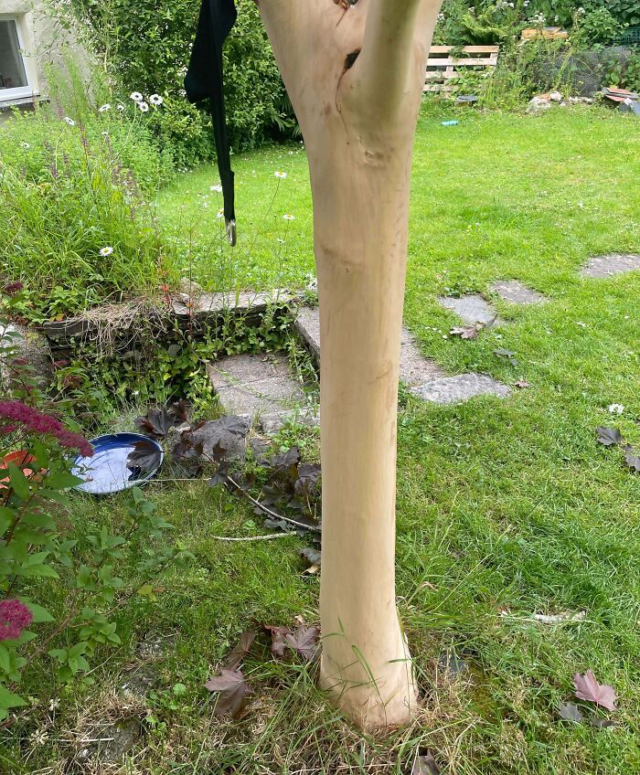 59 Horrible Guests You Wouldn’t Wish Upon Your Worst Enemy 59 Horrible Guests You Wouldn’t Wish Upon Your Worst Enemy