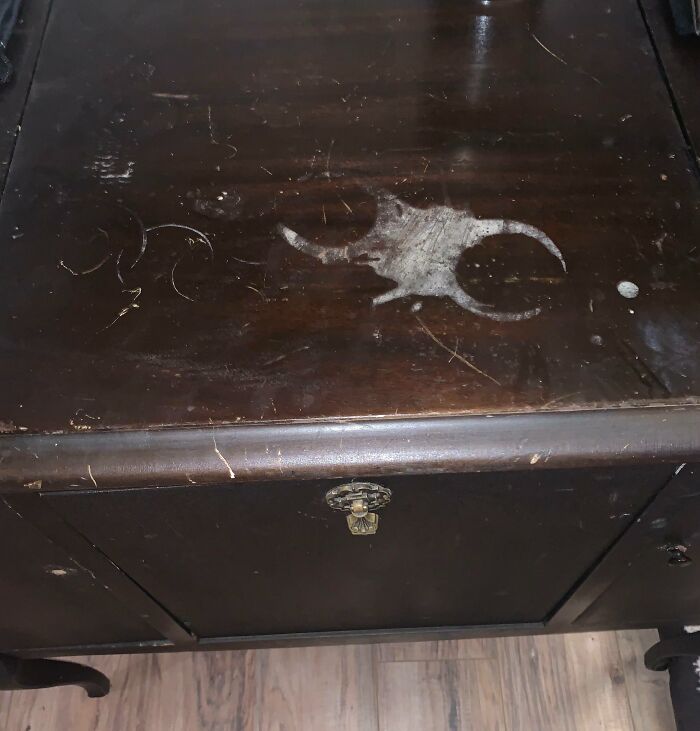 59 Horrible Guests You Wouldn’t Wish Upon Your Worst Enemy 59 Horrible Guests You Wouldn’t Wish Upon Your Worst Enemy