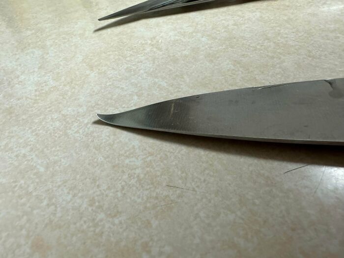 59 Horrible Guests You Wouldn’t Wish Upon Your Worst Enemy 59 Horrible Guests You Wouldn’t Wish Upon Your Worst Enemy