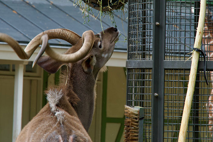 73 Allergies So Unusual They Might Leave You Wondering How People Even Survive Them