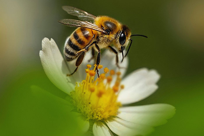 73 Allergies So Unusual They Might Leave You Wondering How People Even Survive Them