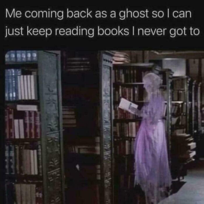 99 Funny And Witty Memes About Reading That Might Inspire You To Open A Book 99 Funny And Witty Memes About Reading That Might Inspire You To Open A Book