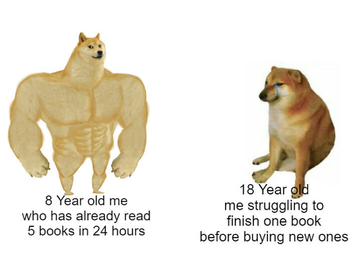 99 Funny And Witty Memes About Reading That Might Inspire You To Open A Book 99 Funny And Witty Memes About Reading That Might Inspire You To Open A Book