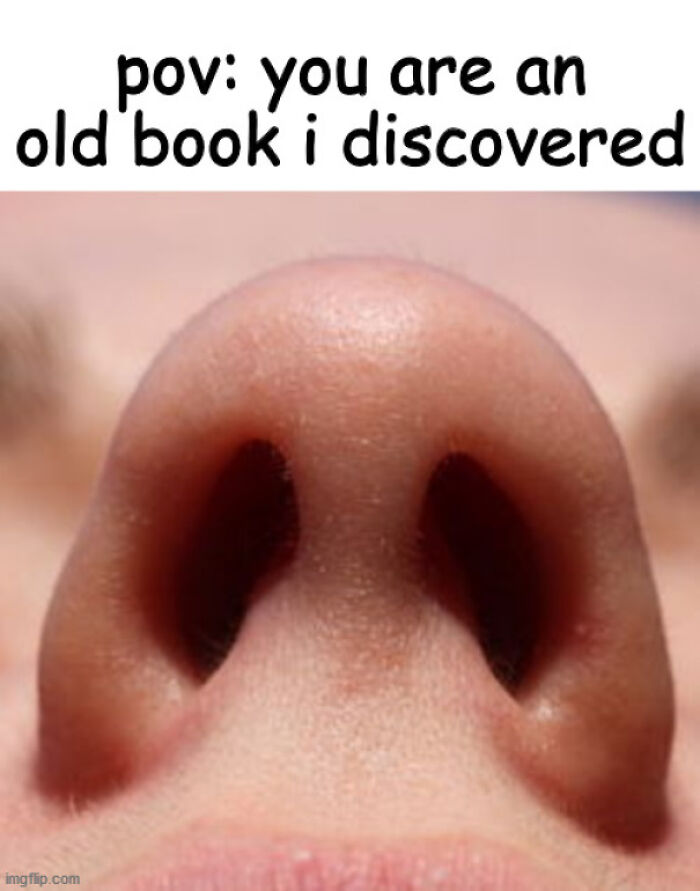 99 Funny And Witty Memes About Reading That Might Inspire You To Open A Book 99 Funny And Witty Memes About Reading That Might Inspire You To Open A Book