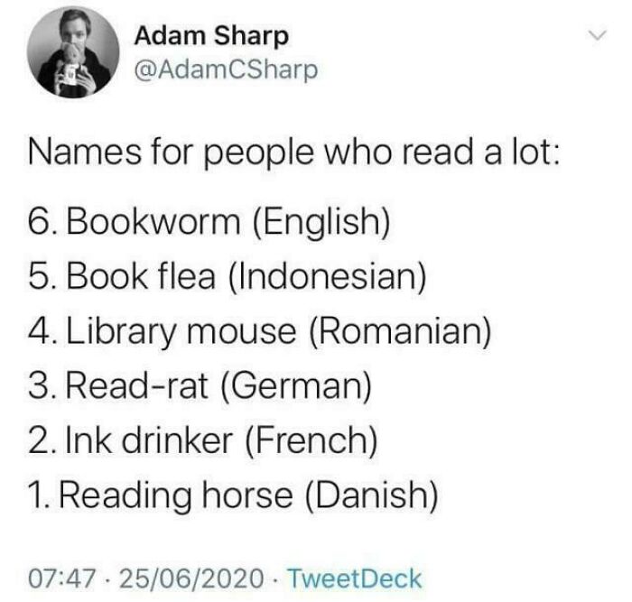 99 Funny And Witty Memes About Reading That Might Inspire You To Open A Book 99 Funny And Witty Memes About Reading That Might Inspire You To Open A Book