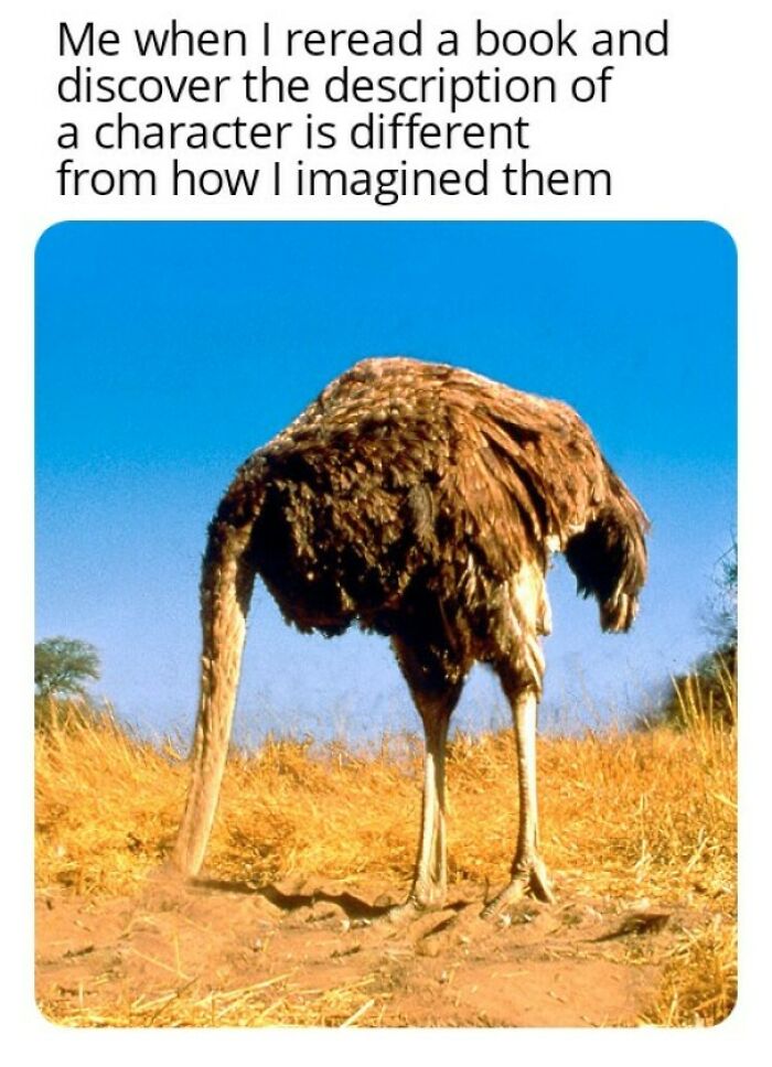 99 Funny And Witty Memes About Reading That Might Inspire You To Open A Book 99 Funny And Witty Memes About Reading That Might Inspire You To Open A Book